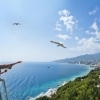 Выбор курорта в 2017 году – Абхазия, Сочи или Крым.