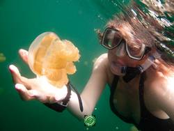 Palau, Палау , jellyfish lake, озеро медуз