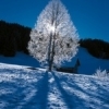 Швейцария: новости зимнего сезона 2012