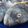 Рыбный рынок в Фантьете